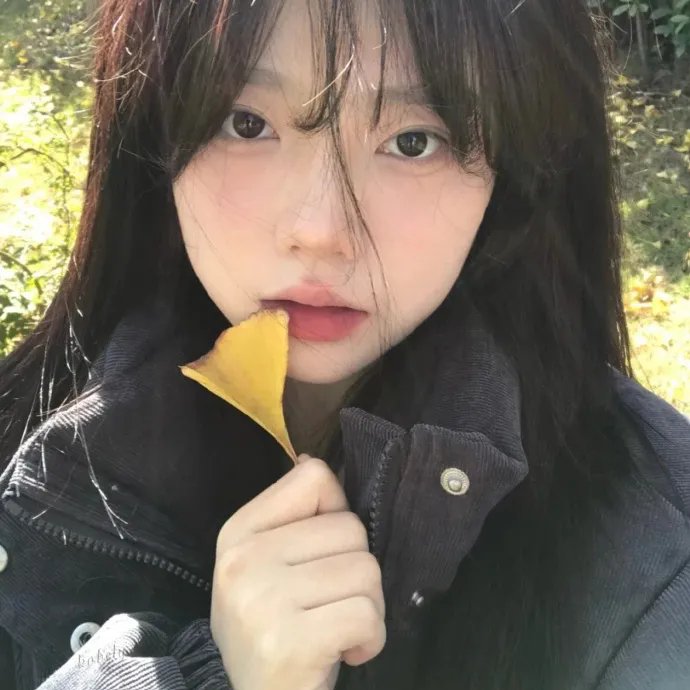 给飞鸟与尚未出世的孩子